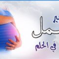 13242 3 في المنام اني حامل , تاويل رؤيا الحمل في المنام حمامة الرياض