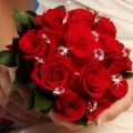 13347 12 ورد رومانسي من اجمل الورود فيس ورود بانوراما , صور لاروع باقات الورد مراد حسون