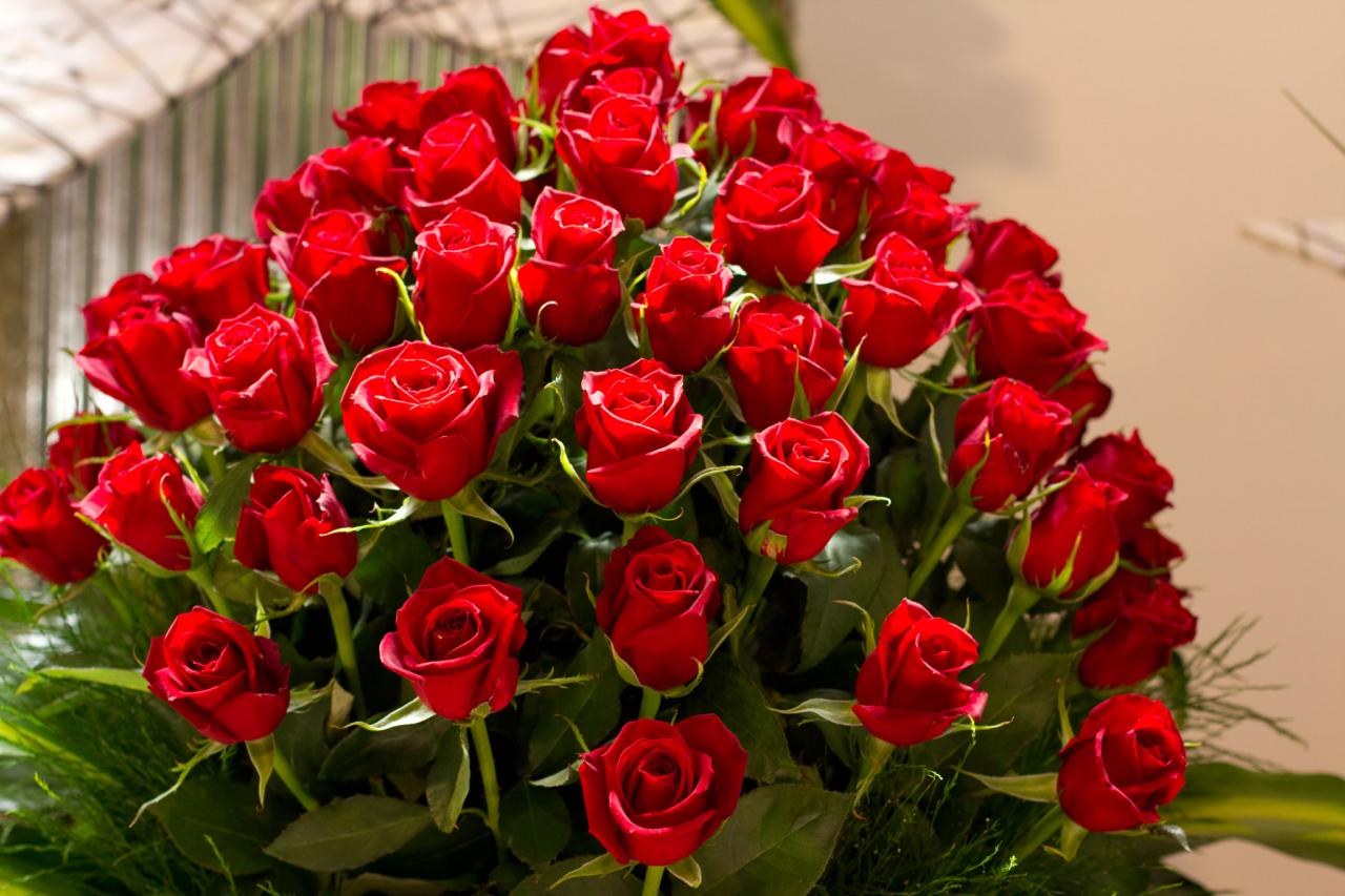 13347 2 ورد رومانسي من اجمل الورود فيس ورود بانوراما , صور لاروع باقات الورد حمامة الرياض