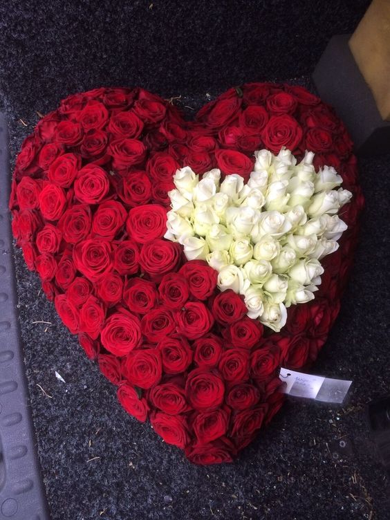 13347 9 ورد رومانسي من اجمل الورود فيس ورود بانوراما , صور لاروع باقات الورد حمامة الرياض