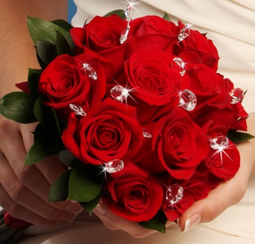 13347 ورد رومانسي من اجمل الورود فيس ورود بانوراما , صور لاروع باقات الورد حمامة الرياض
