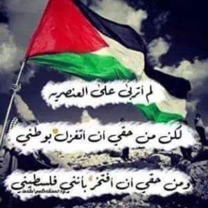 9977 8 شعر عن فلسطين الحبيبة , كلمات عن فلسطين مراد حسون